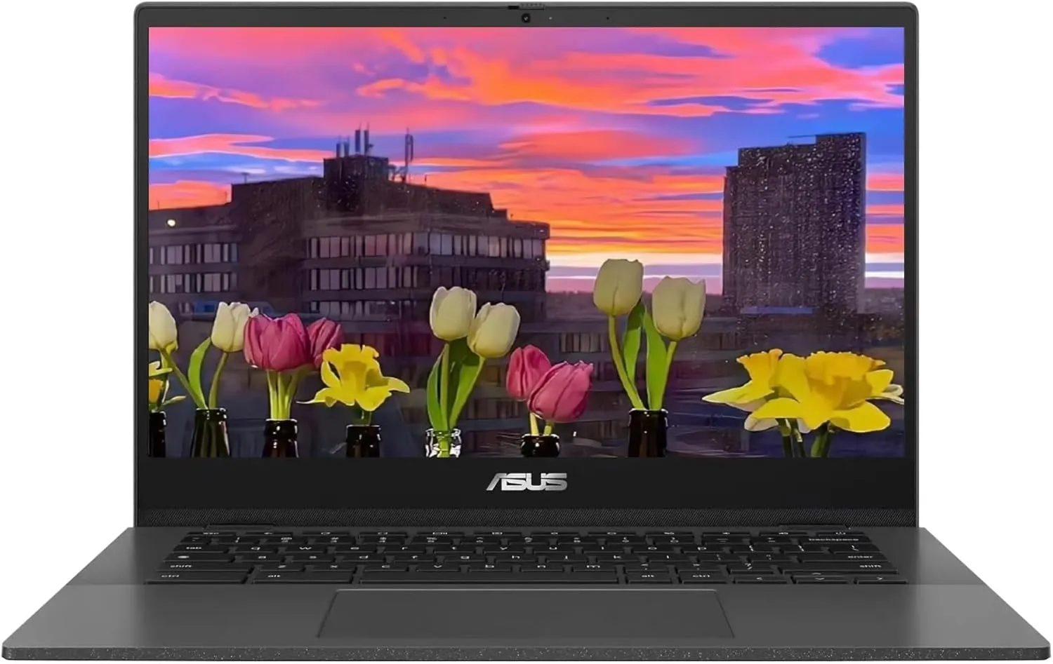 ASUS Chromebook CM1402 14" FHD