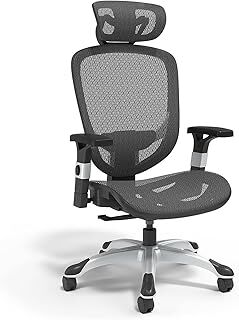 Ergonomic Office Chairs